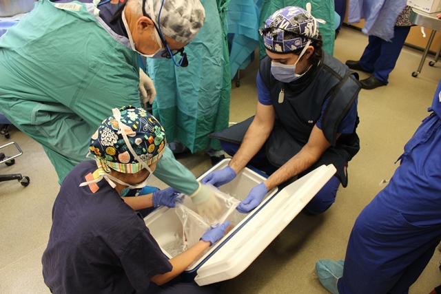 Marking a Canadian milestone in transplant