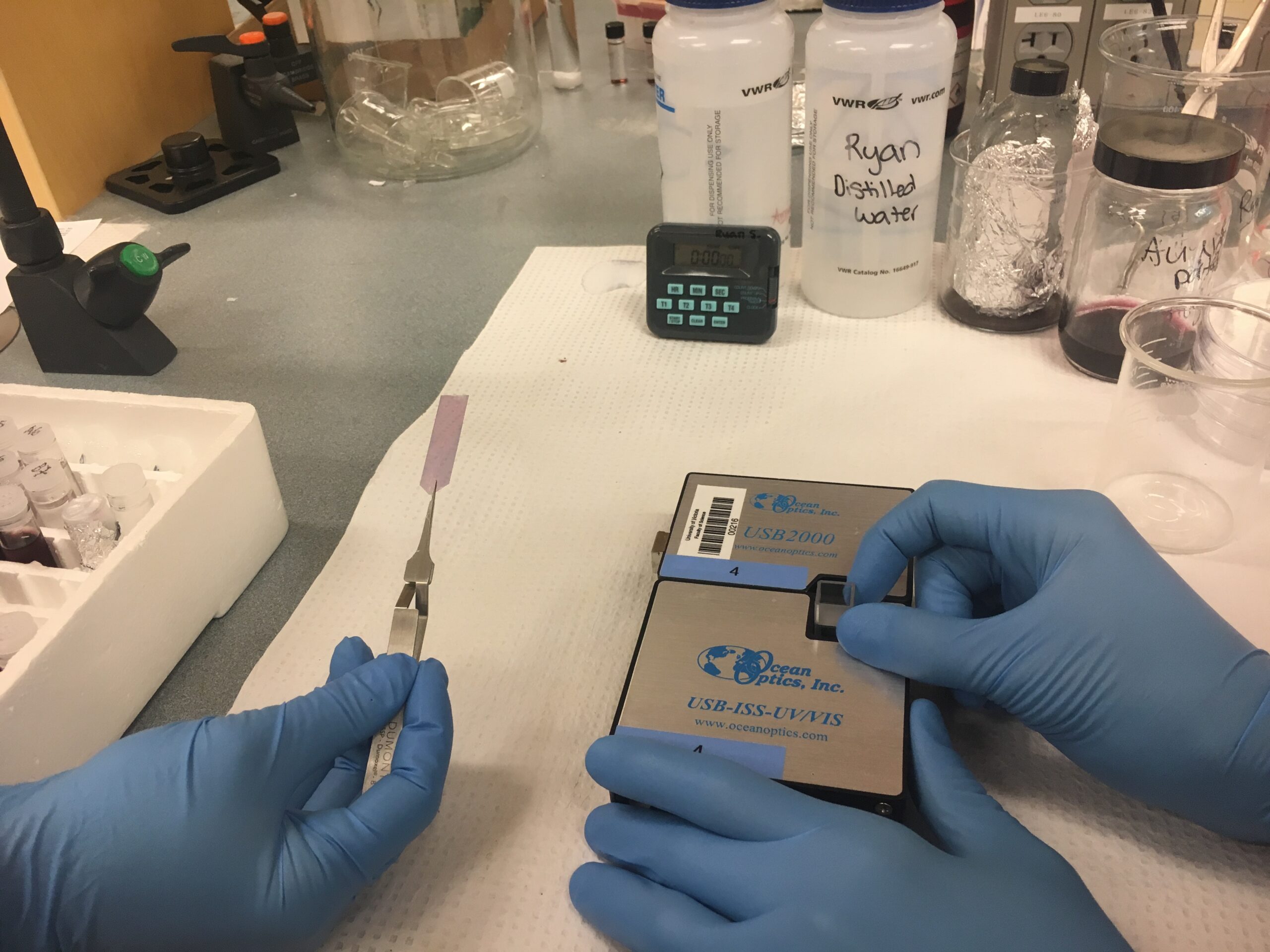 Zika detecting plastic strip (red) is shown. The strips change colour when in contact with Zika contaminated saliva.