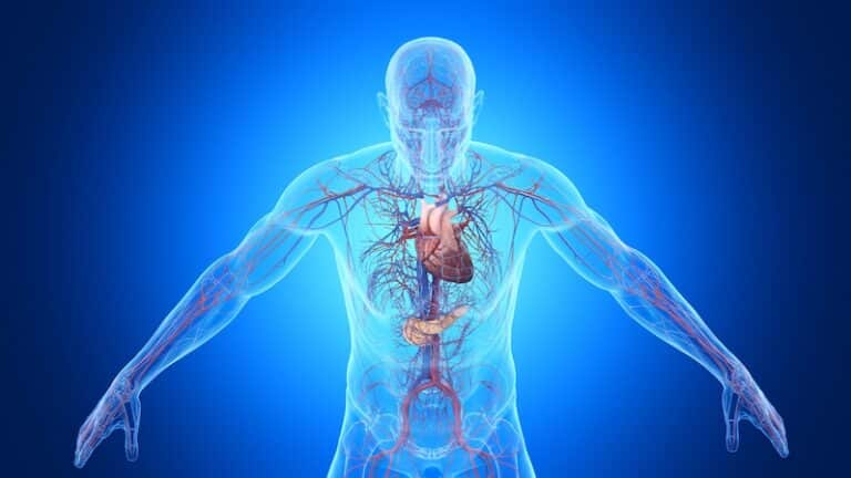 Study offers rare insight into heart disease, diabetes risk in the Middle East, South Africa