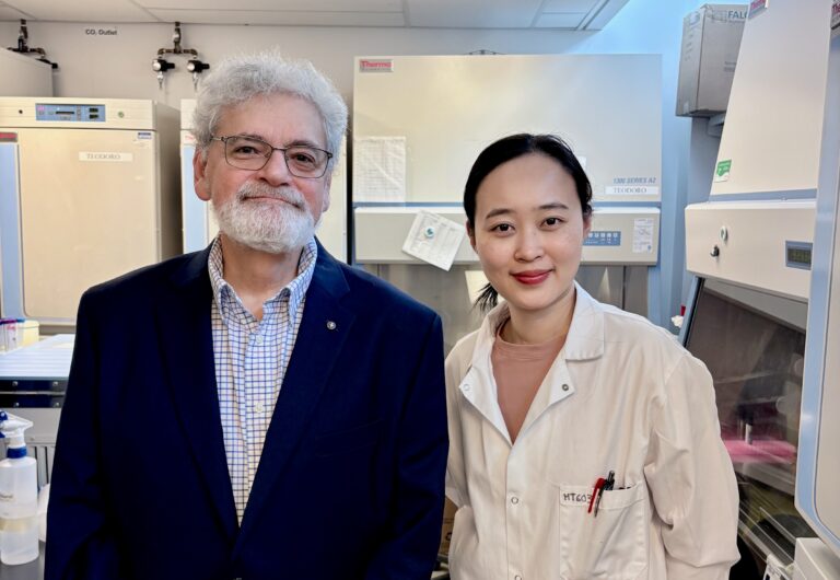 Unleashing natural killer cells against cancer